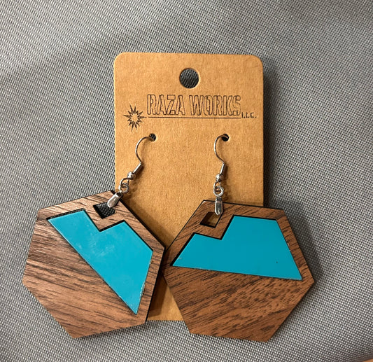 2 Tone Wooden Hexagon Earrings